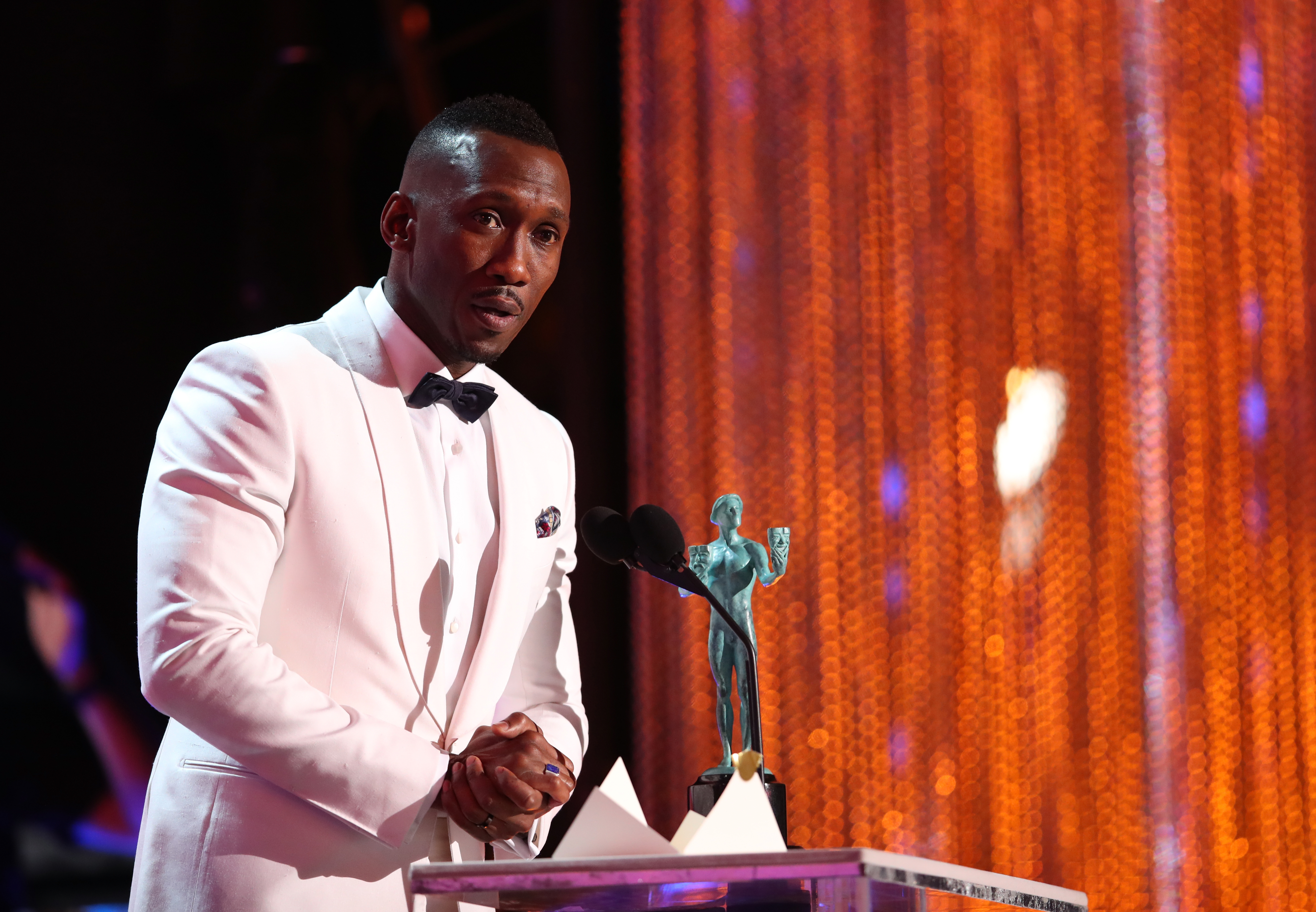 The 23rd Annual Screen Actors Guild Awards - Roaming Show