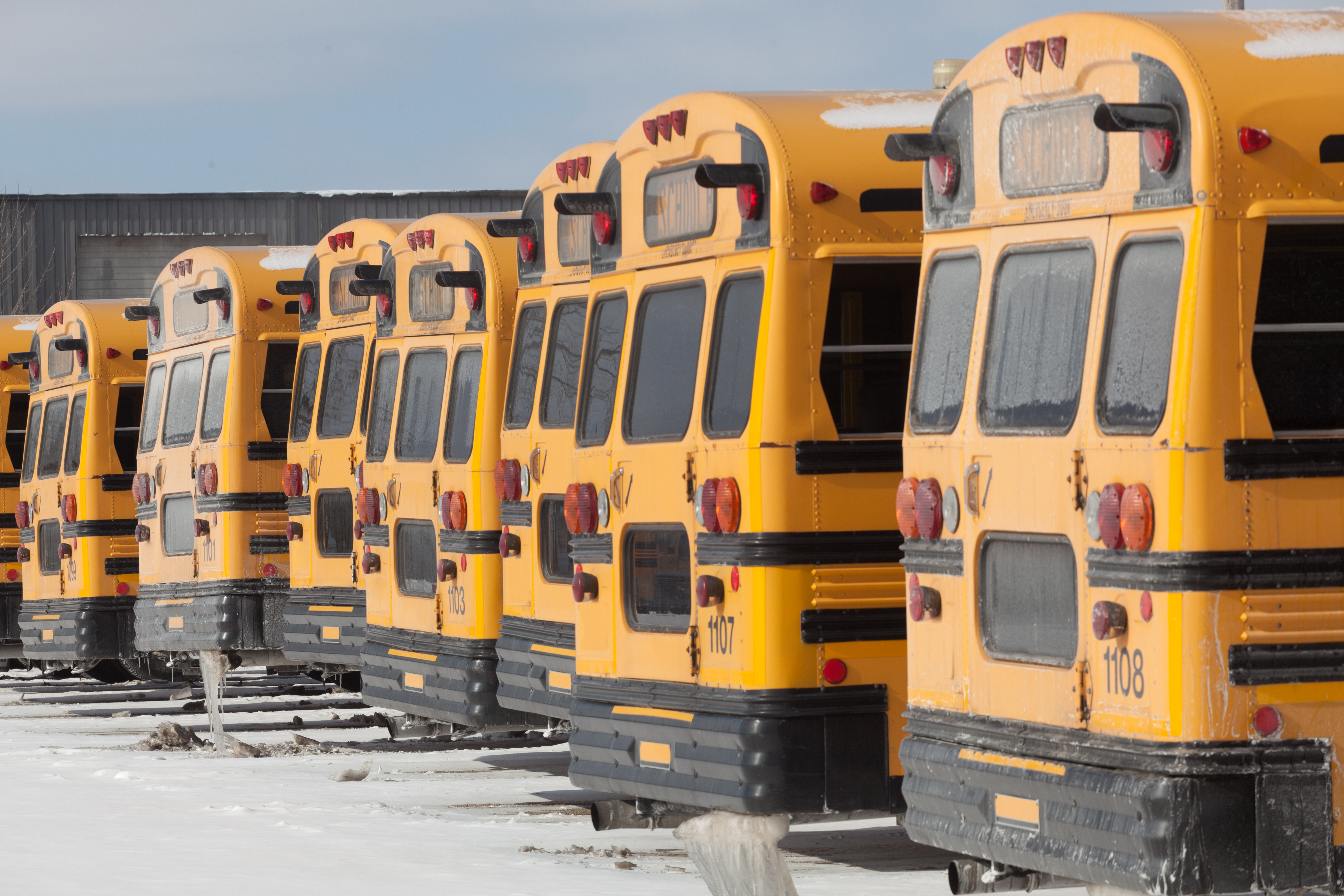 American yellow style school buses in winter