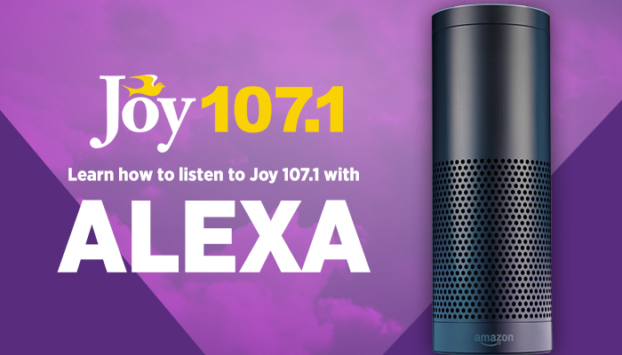 amazon echo joy