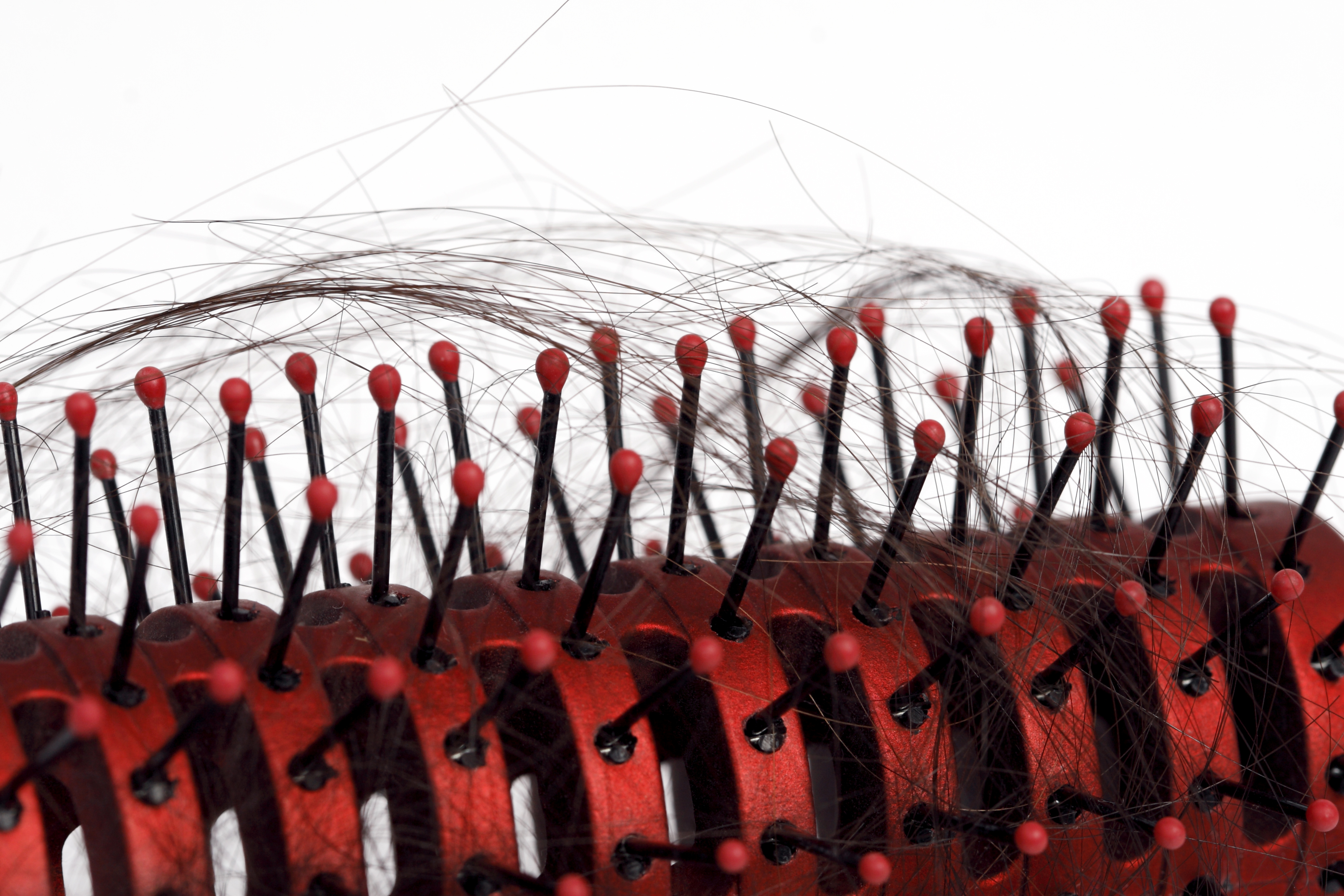 Closeup of Hairbrush with Hair Loss
